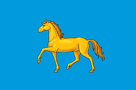 Администрация города Минусинска в социальных сетях
