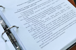 Проект бюджета утвержден в первом чтении